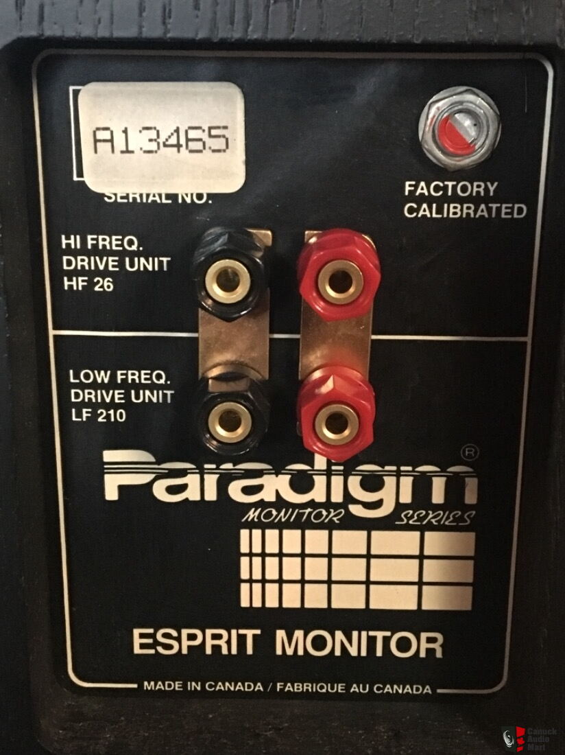 paradigm esprit monitor