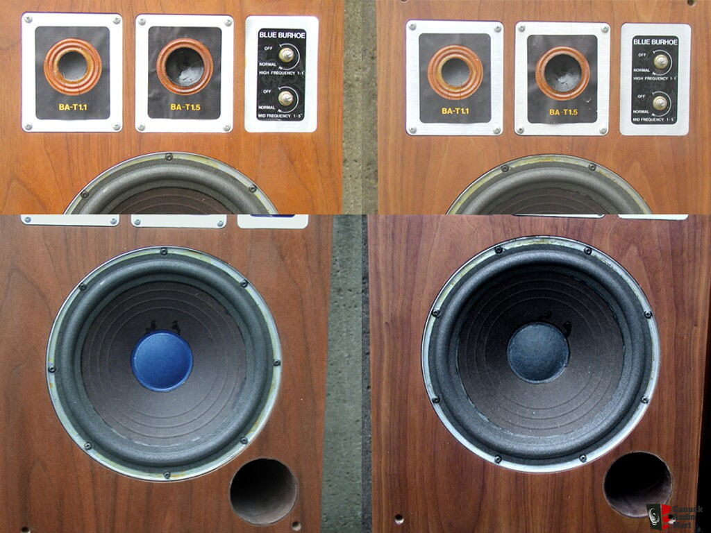 burhoe blue speakers