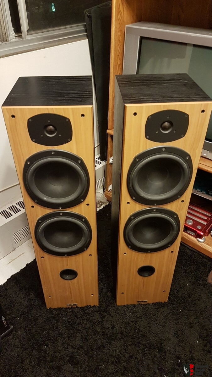 tannoy mercury m5 price