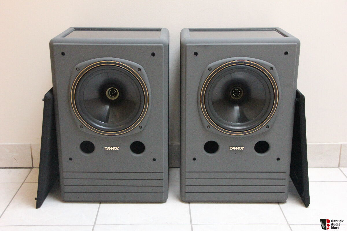 tannoy 10 dmt ii