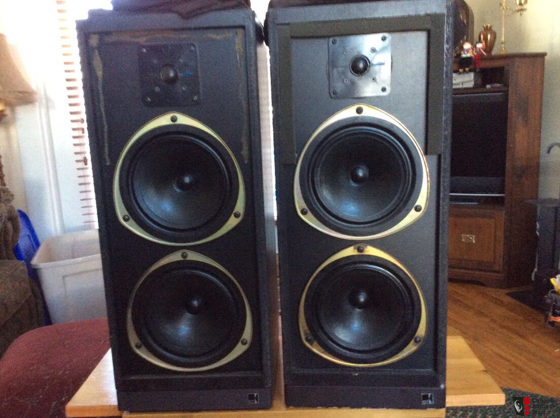 kef 304 speakers