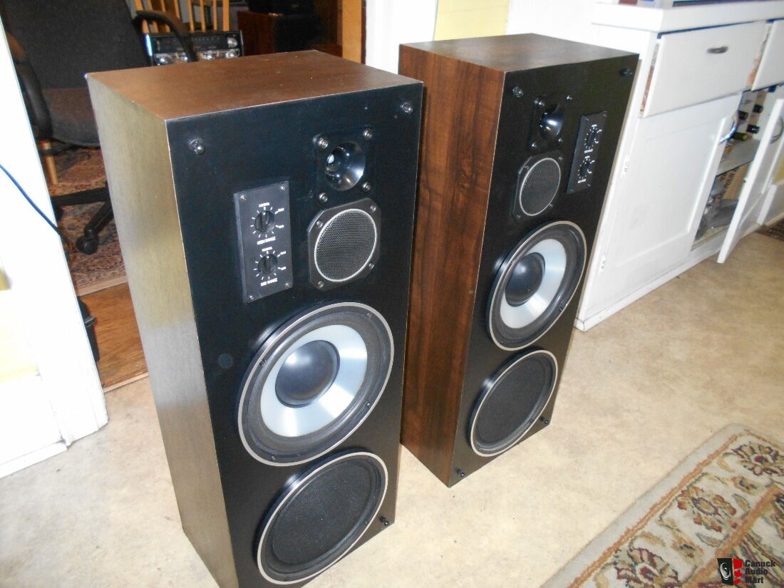 vivid thunder speakers