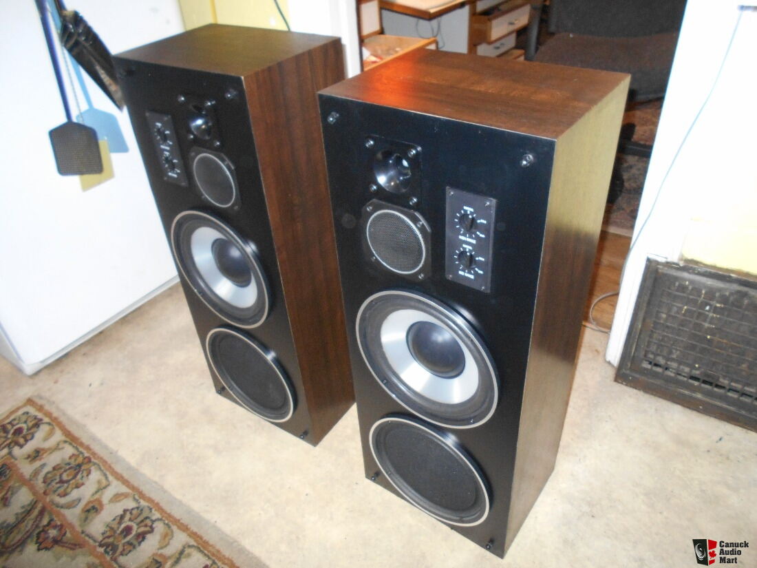 vivid thunder speakers