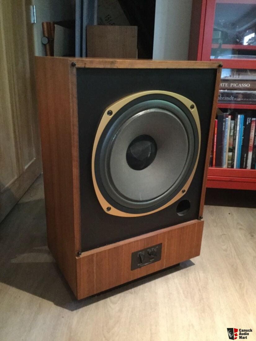 tannoy 3828