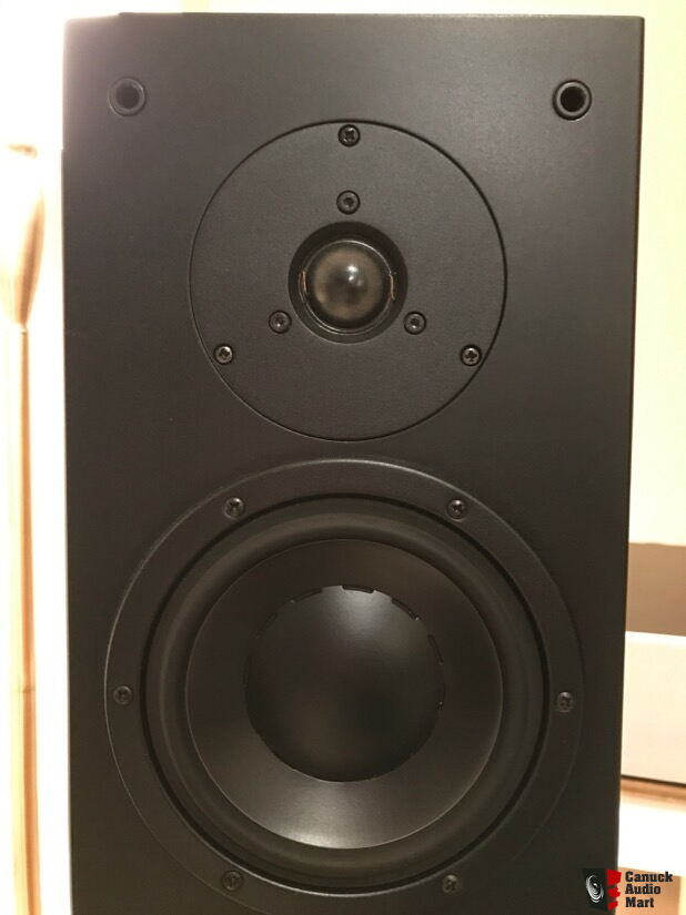 Dynaudio Audience 72 floor standing tower speakers Photo #2069694 - UK ...