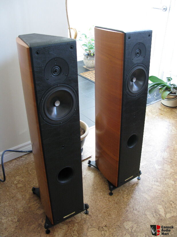 sonus faber concerto domus speakers