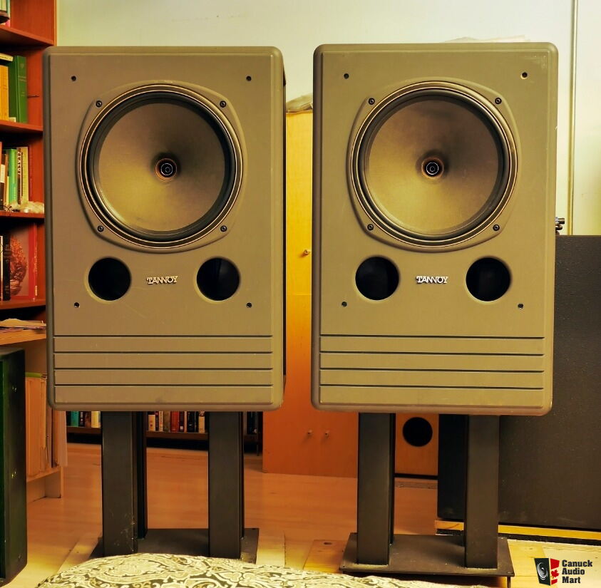 tannoy 15 dmt ii