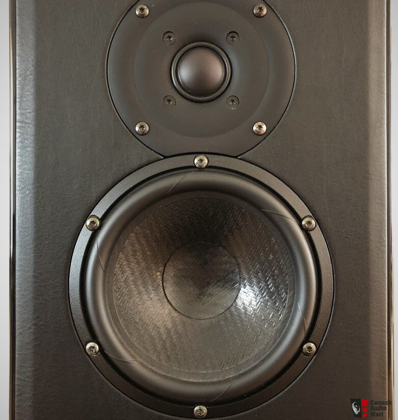 Sonus Faber Liuto Speakers Photo #2253705 - US Audio Mart