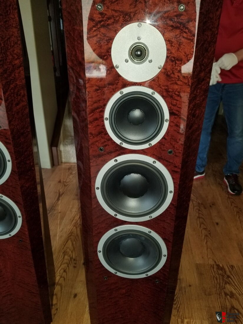 dynaudio 30th