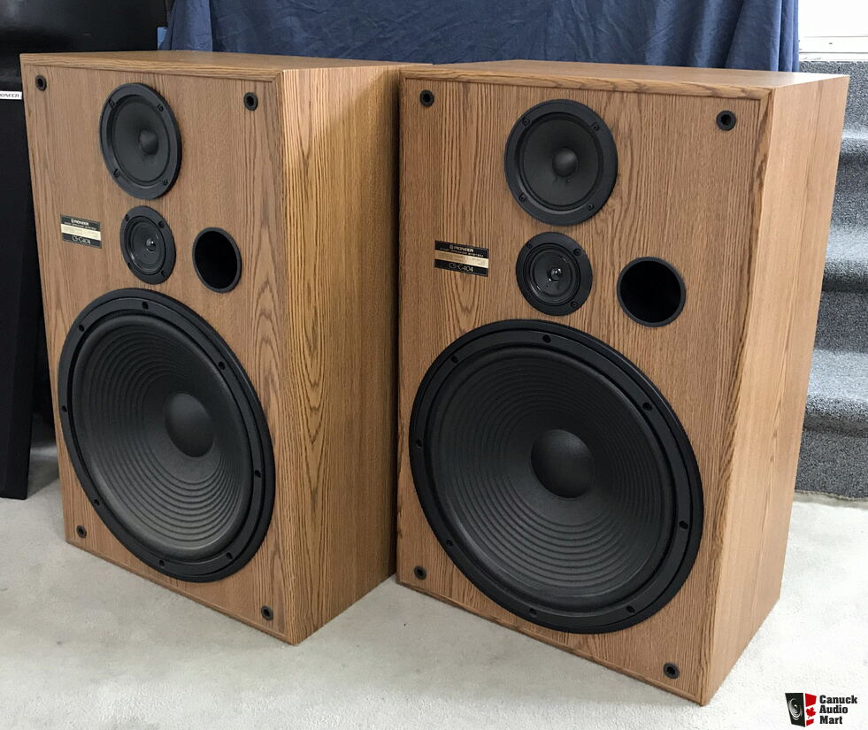 pioneer cs g405 speakers