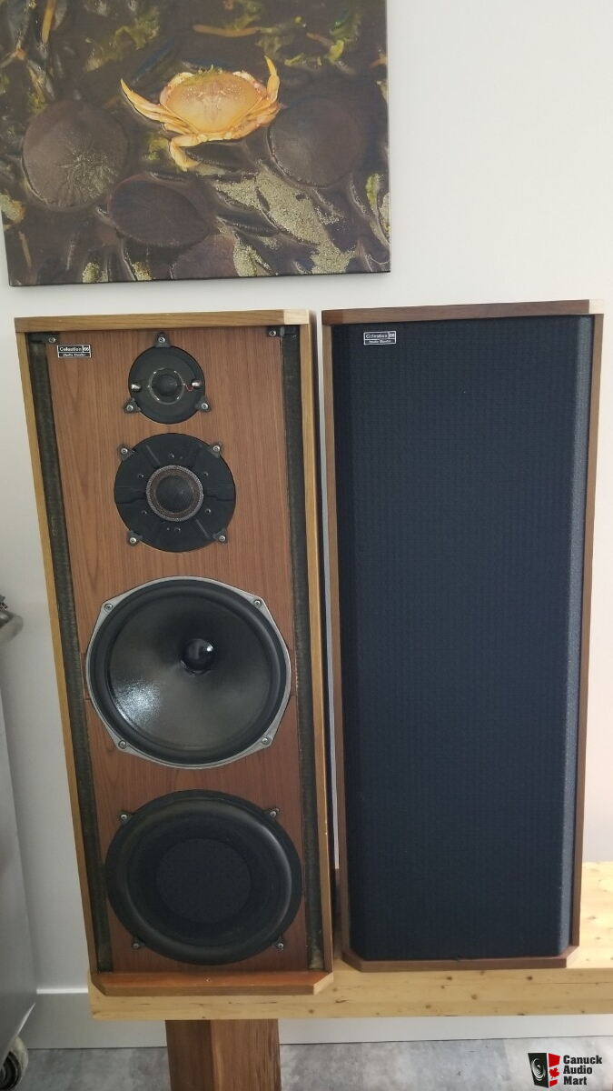 Paire enceintes vintage celestion ditton 66 occasion, lille à Lille