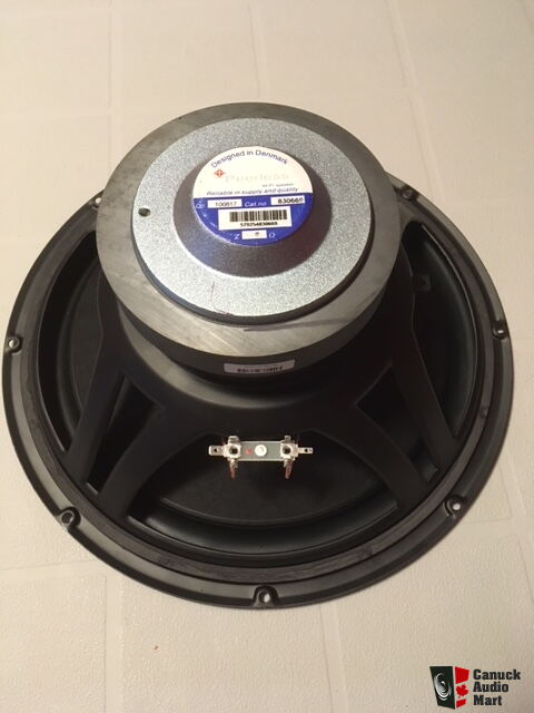Peerless Tymphany 830669 Paper SLS Subwoofer Photo #2346317 - US Mart