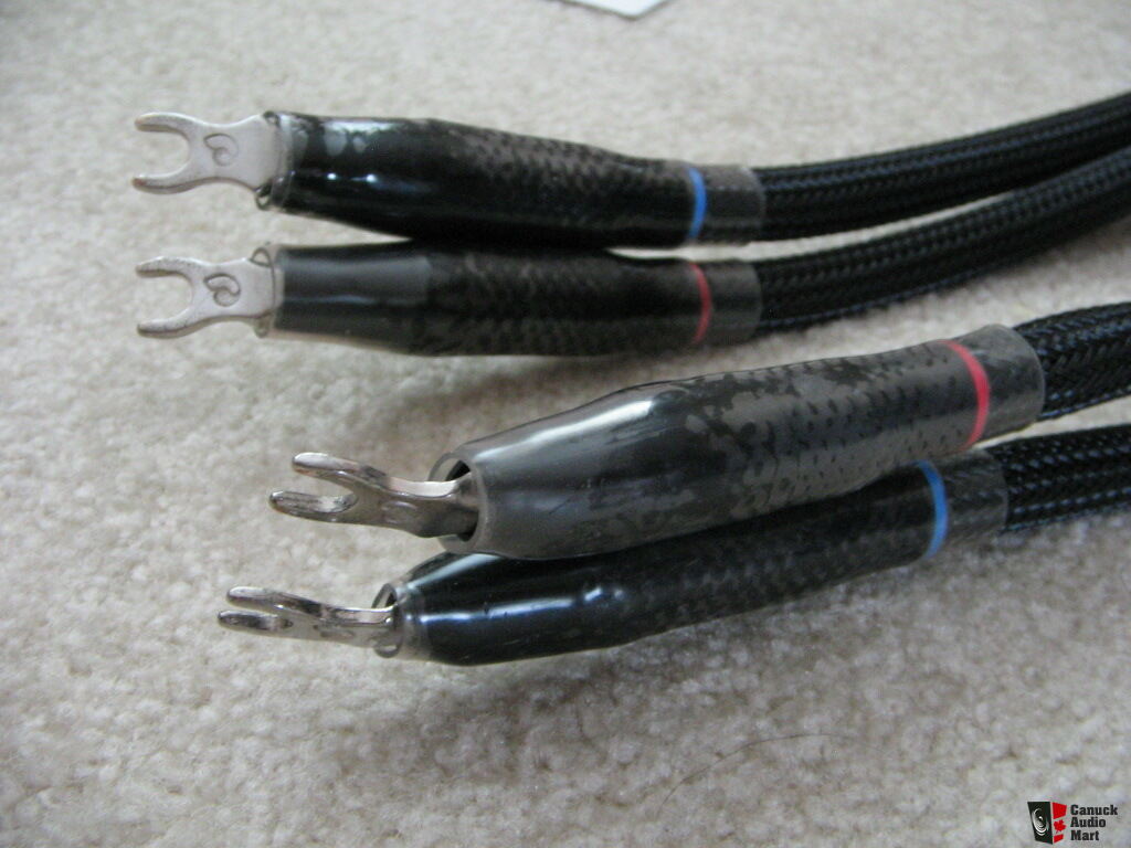 Virtual Dynamics David Series 2 0 Speaker Cables 6 Feet Photo 2351068 Virtual dynamics david series 2 0 speaker cables 6 feet photo 2351068