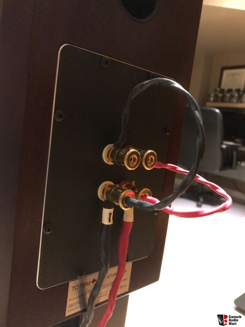 Totem Acoustic Signature One speakers 