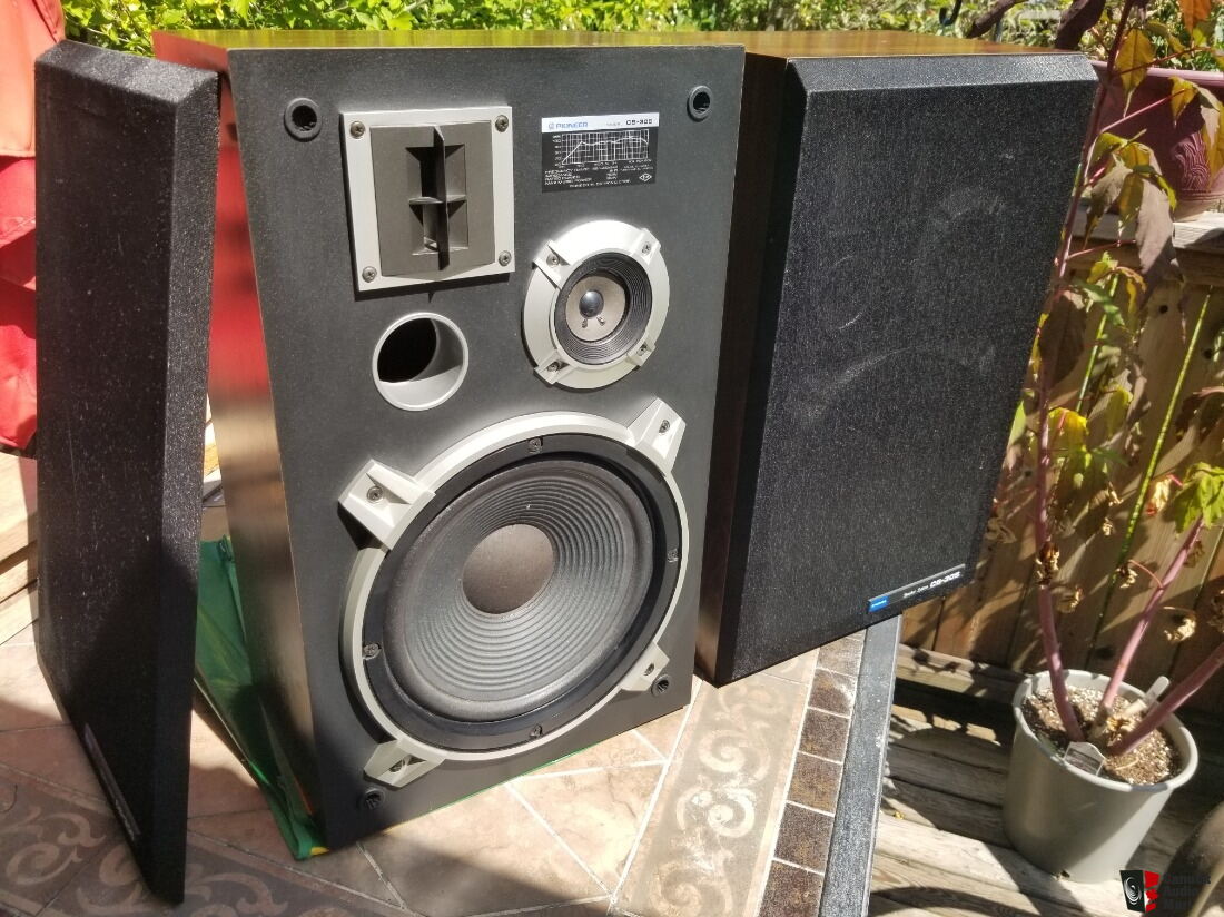 pioneer cs 305 speaker