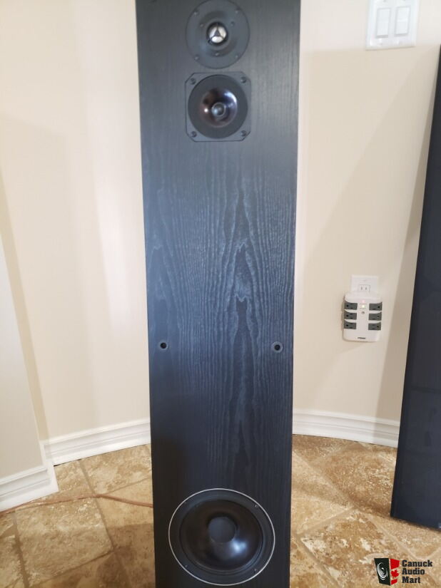 NEAR-50ML tower speakers (reduced for 