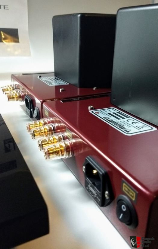 Triode Lab 2A3GT-FFX Flagship Push-Pull Monoblock 2A3 Power Amps ...