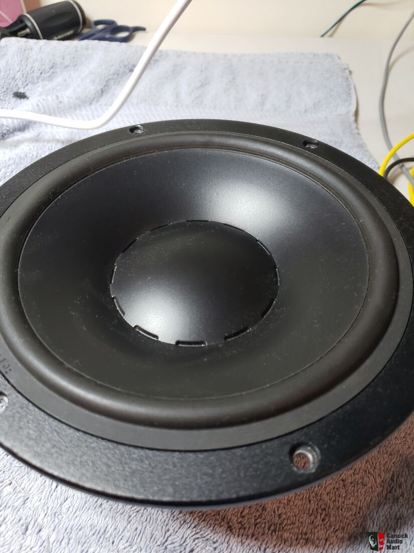 Pair of Dynaudio Esotec 20W75 8ohms Photo #2417541 - UK Audio Mart