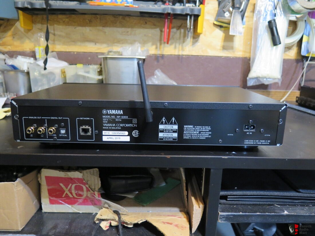 Yamaha NP-S303 network player Photo #2422087 - US Audio Mart