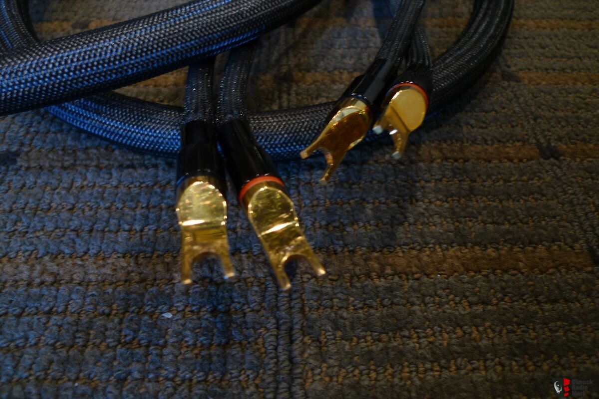 Transparent Reference XL SS speaker wire Photo #2429680 - US Audio Mart