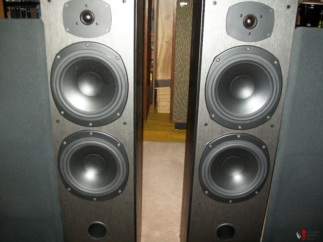 tannoy mercury m5