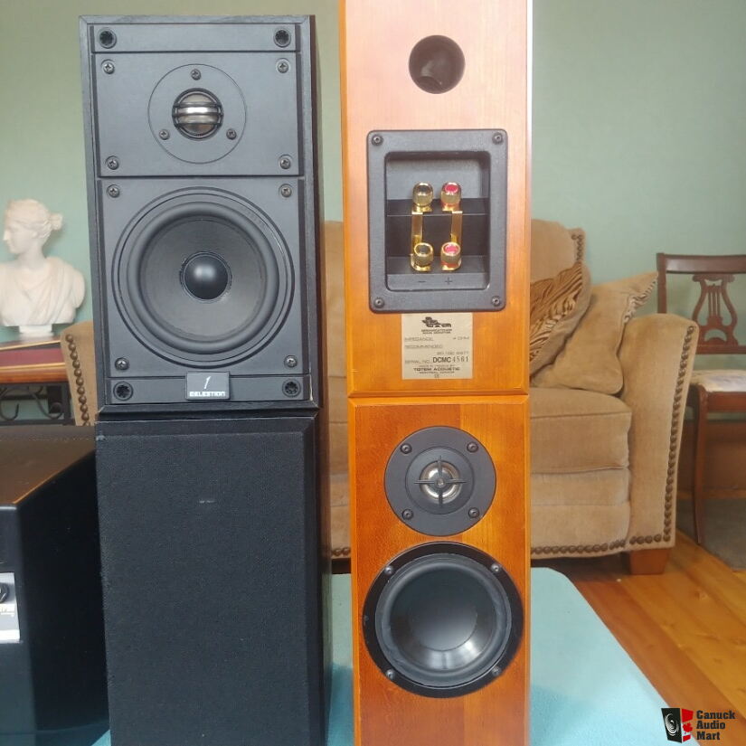 celestion 1 speakers