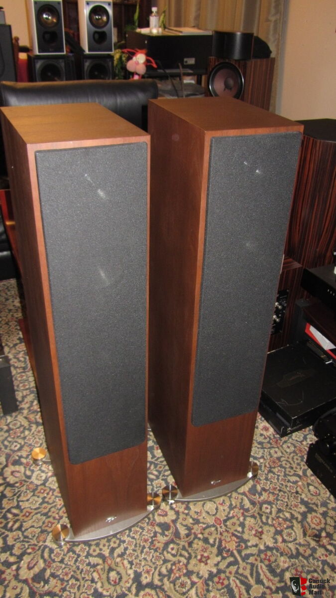 Paradigm Prestige 85F speakers Photo #2486324 - Canuck Audio Mart