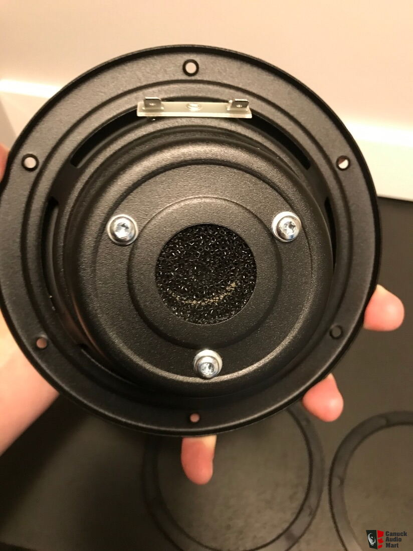 17w75 dynaudio