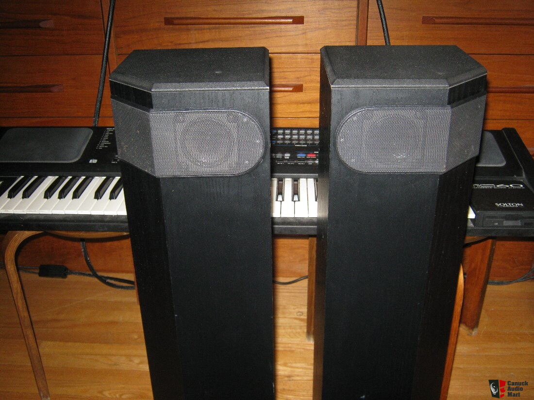 bose tower speakers 501