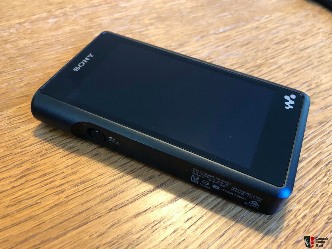 iriver - astell&kern SR25 Onyx Black + Dignisケースの+marinoxnatal