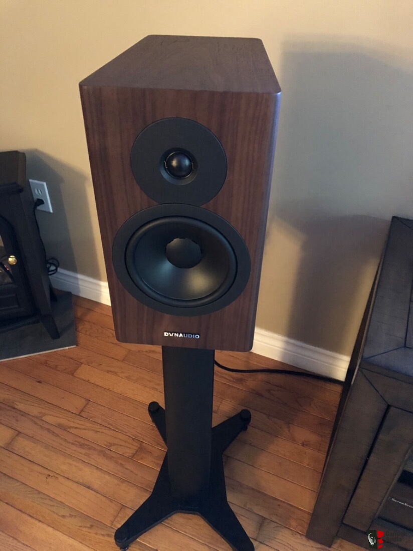 stand 20 dynaudio