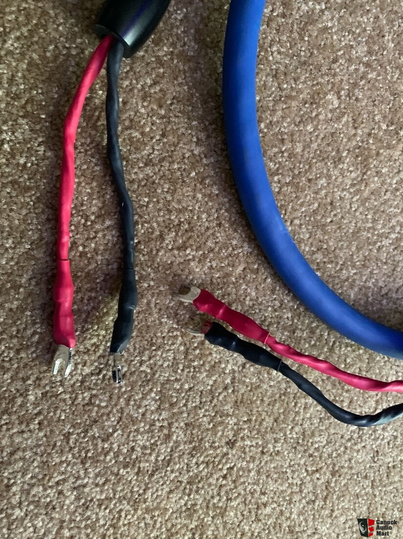 Cardas Clear Light Speaker Cables Photo 2589828 Canuck Audio Mart