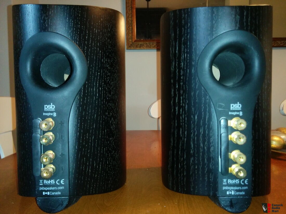 PSB Imagine B Speakers Black Ash Photo #2733451 - UK Audio Mart