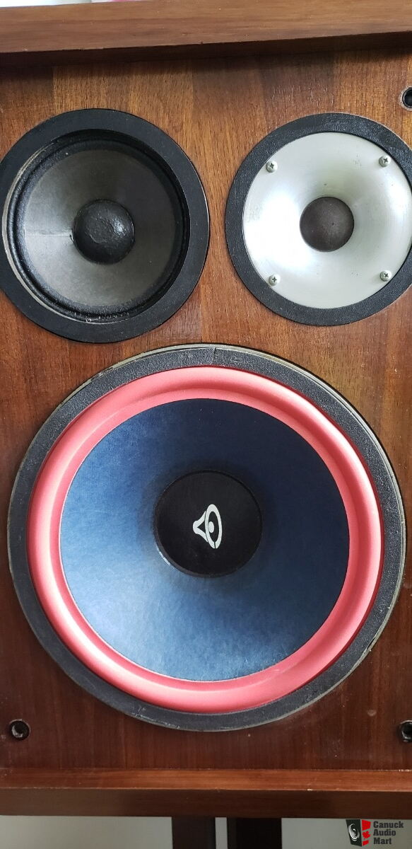 rare cerwin vega speakers