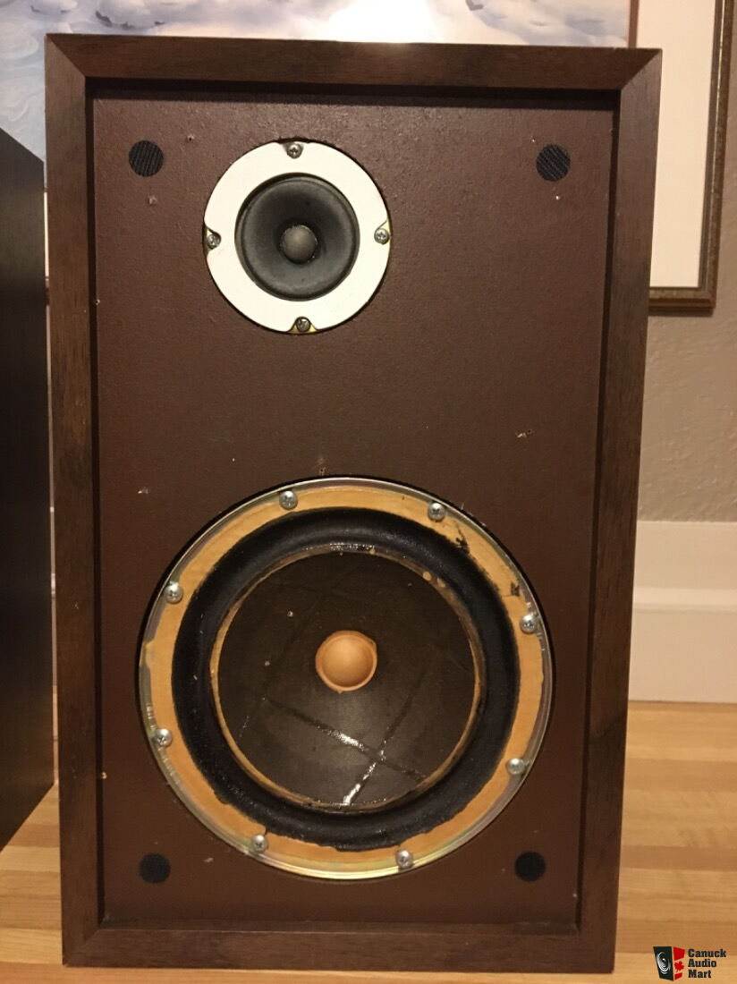 klh pro 31