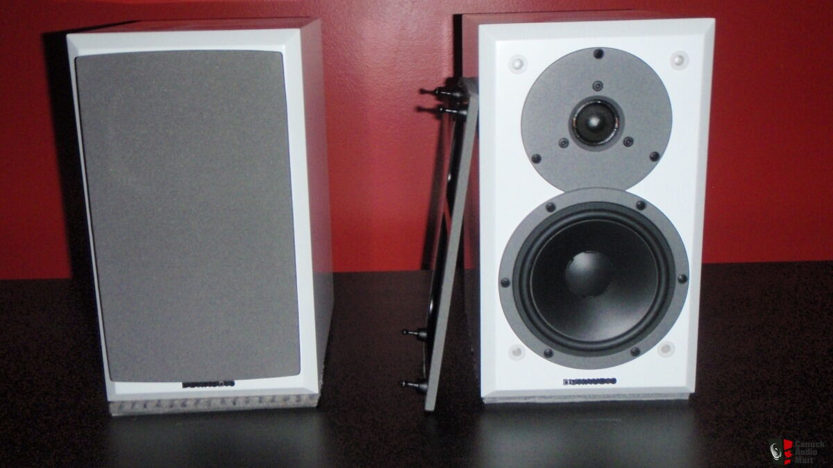 Dynaudio EMIT 10 Bookshelf Speakers WHITE MINT Photo #2863240 - US