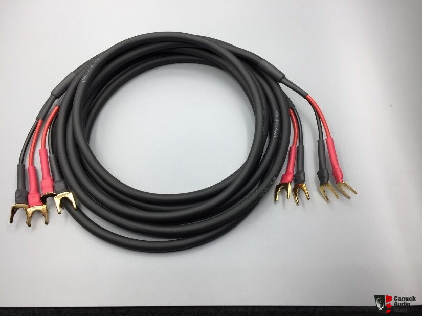 Gotham Audio 50025 Speaker Cable Pair 2 