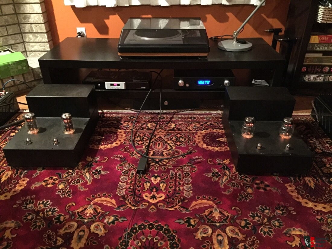 Rogue RP1 Photo 2960744 US Audio Mart