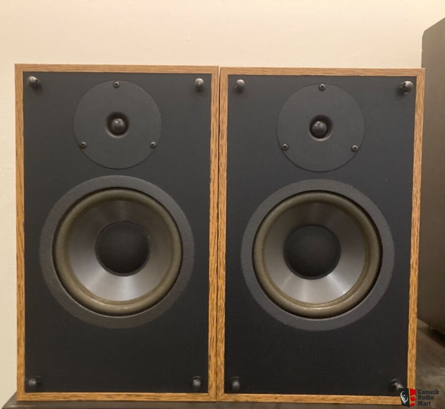 PSB 300 Speakers in Walnut Photo #3060593 - Canuck Audio Mart