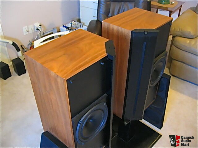 celestion 5000 speakers