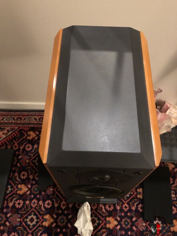 ruark solus speakers