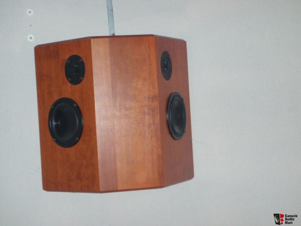 totem lynx speakers