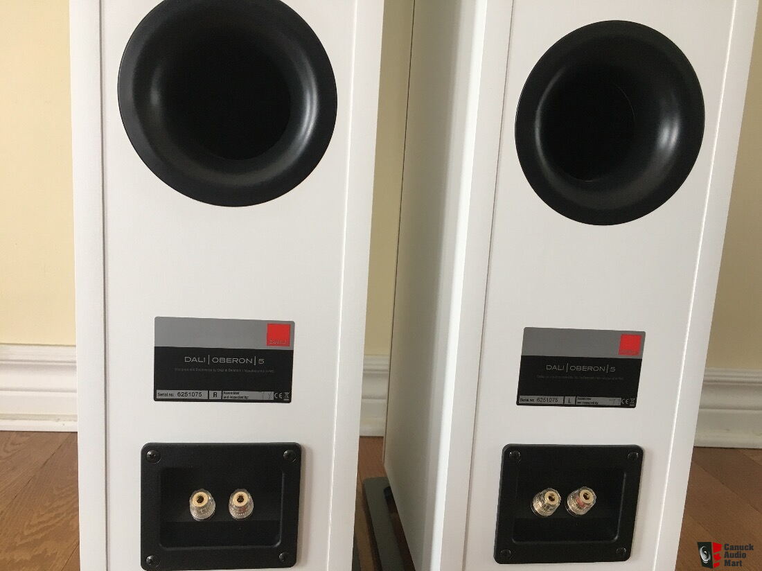 Dali Oberon 5 For Sale - Canuck Audio Mart