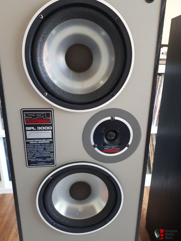 Paisley SPL 3000 monitor speakers Photo 
