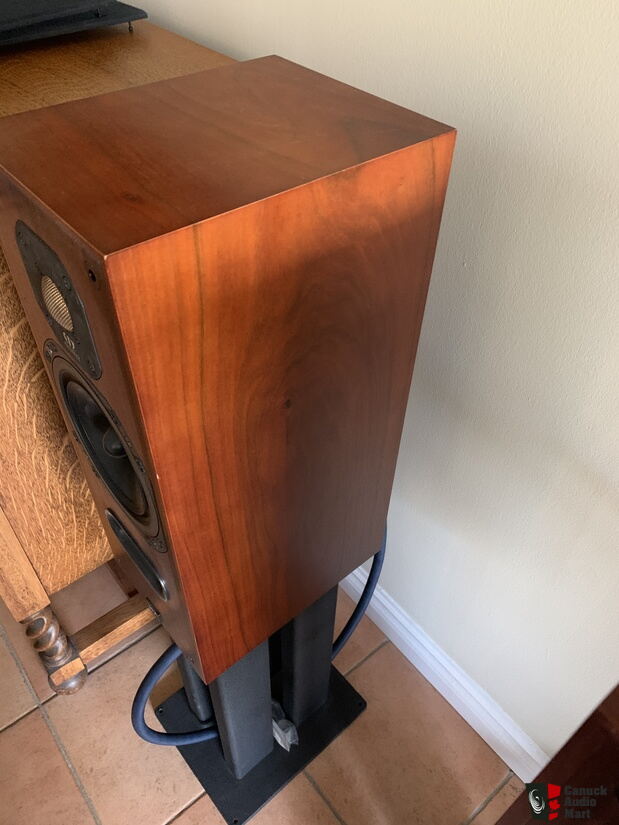 Monitor Audio MA800 GOLD speakers, Target R4 stands, custom cables and