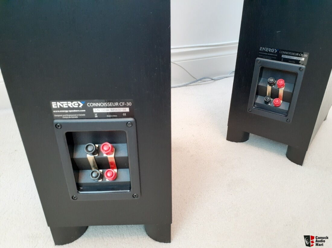 Excellent Energy Connoisseur Series CF 30 2 Way Dual 5 5 Floor excellent-energy-connoisseur-series-cf-30-2-way-dual-5-5-floor