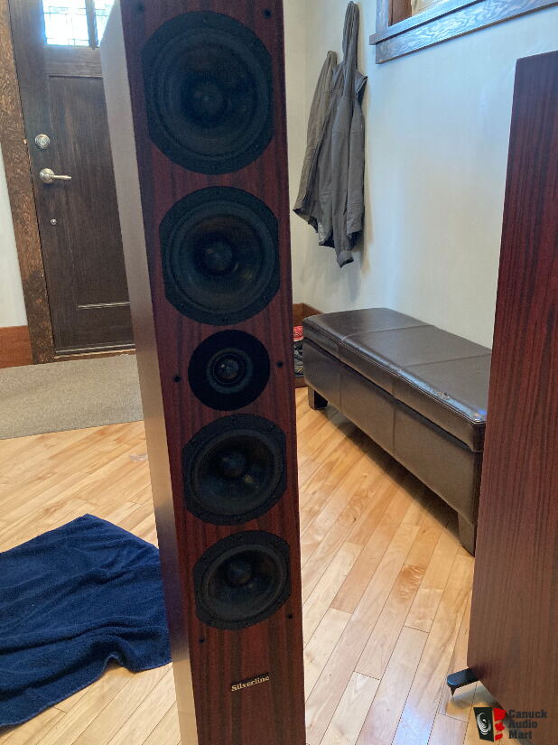 Silverline Audio Prelude Plus Rosewood small floorstanding Speakers