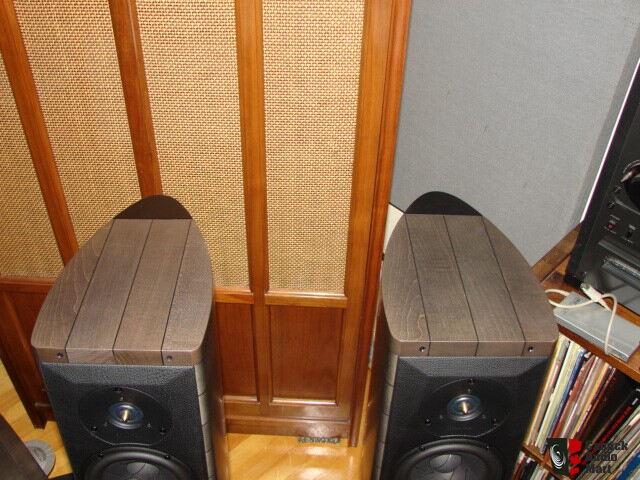 sonus faber cremona auditor graphite