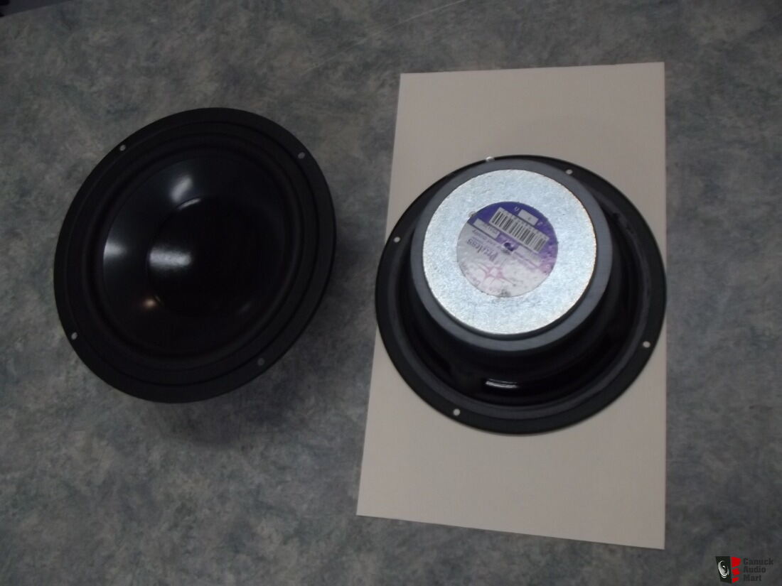 kit Peerless Vifa For Sale - Canuck Audio Mart