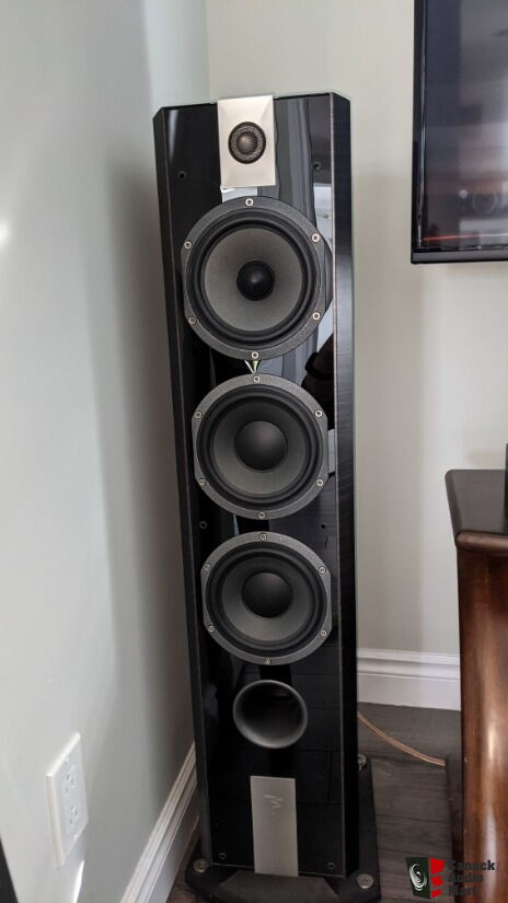 Focal Chorus 826v For Sale - Canuck Audio Mart